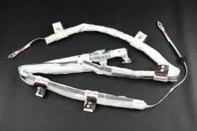 Bmw 7396862-22 2018-2024 X3 X3m G01 F97 Upper Roof Curtain Airbag Right Passenger Rh Oem
