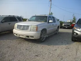 253-06300br Cadillac Passenger Right Air Bag Seat Fits 02-06 Avalanche 1500 1585070