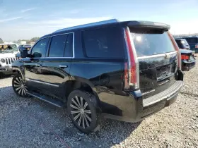 253-07146 Cadillac 2015 Escalade Lh Driver Roof Curtain Airbag Air Bag Oem
