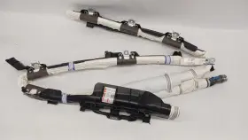 78875tbaa70 Honda Ft19-ft21 Civic Sedan Left Driver Roof Curtain Air Bag Oem