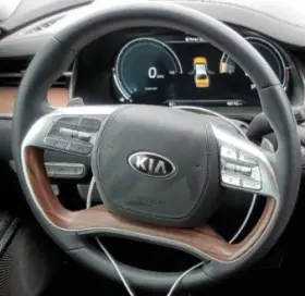 253-10845 Kia 2019-2020 K900 Lh Driver Steering Wheel Airbag Oem