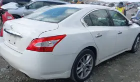 253-55379 Nissan 2009-2010 Maxima Rh Passenger Roof Curtain Airbag Oem