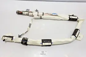 1036756-00-f Tesla 16-23 Oem Model X Front Left Driver Side Top Roof Head Airbag Curtain