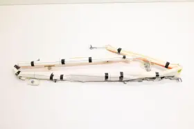 Tesla 181889000e 2024-2026 Cybertruck Right Side Roof Curtain Airbag Air Bag Oem