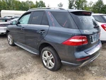 Passenger Air Bag 166 Type ML350 Front Roof Fits 12-15 Mercedes Ml-class 3196466. Fixed Price $215.00.