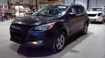 2014-2019 Ford Escape Driver Roof Curtain Air Bag From 12/02/13. Fixed Price $125.00.