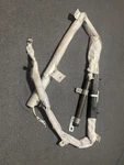 2016-2023 Dodge Charger Left Drivers Side Roof Curtain Bag Oem Lxldsabic Lh. Fixed Price $200.00.