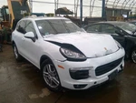 Chassis Ecm Fuel Pump Fits 11-18 Porsche Cayenne 6982731. Fixed Price $117.98.