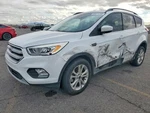 Used Left Curtain Air Bag Fits: 2019 Ford Escape Driver Roof Grade. Fixed Price $141.00.