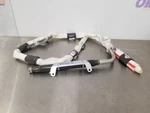 22 Nissan Frontier Sv Roof Airbag Curtain Overhead Crew Cab Right Passenger. Fixed Price $550.00.
