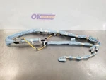2004 Lexus LX470 Front Overhead Roof Srs Curtain Right Passenger. Fixed Price $90.31.