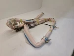 2009 Dodge Caravan Lh Driver Air Bag Rear Roof. Fixed Price $174.96.