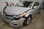 Roof Curtain For Azera Left. Fixed Price $119.99.