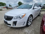 2011-2017 Buick Regal Driver Roof Curtain Air Bag Id 22792644. Fixed Price $125.00.