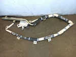 Srs Driver/left Roof/curtain Airbag From Sequoia 12128578. Fixed Price $200.77.