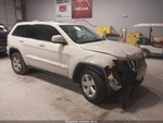 Passenger Air Bag Front Roof Fits 11 Grand Cherokee 5652408. Fixed Price $225.00.