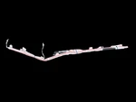 2024-2025 Honda Prologue Oem Rh Front Right Driver Curtain Srs Airbag 86528965. Fixed Price $595.00.