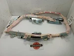 Srs Passenger/right Roof/curtain Airbag From Legacy 10096140. Fixed Price $201.83.