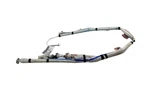 2024-2025 Tesla Model Driver Side Curtain Roof Airbag Head Left 1744306-00-H. Fixed Price $526.50.