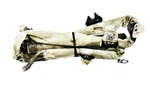 Oem Bmw F30 F36 F80 M3 335 430 Left Driver Roof Head Curtain. Fixed Price $200.00.