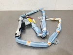 2005 Lexus LS430 Overhead Roof Srs Curtain Right Passenger. Fixed Price $45.00.