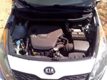 Passenger Right Air Bag Roof Hatchback Fits 12-17 Rio 103679617. Fixed Price $168.90.