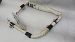 '17-'22 Nissan Rogue Sport Right Passenger Roof Curtain Air Bag Oem. Fixed Price $205.00.