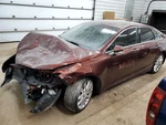 Driver Air Bag Rear Outboard Seat Belts Fits 14-16 Fusion 1751744. Fixed Price $185.00.