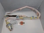 Srs Passenger/right Roof/curtain Airbag From 2008 Tundra 10690571. Fixed Price $204.77.