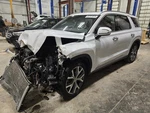 Used Right Instrument Panel Air Bag Fits: 2020 Hyundai Palisade Passenger Dash. Fixed Price $201.25.