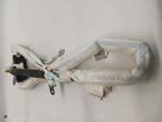 '10 Nissan Sentra Left Driver Roof Curtain Air Bag Oem. Fixed Price $125.00.