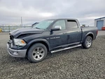Passenger Front Seat Air Bag Oem 12-13 Dodge RAM1500. Fixed Price $80.00.