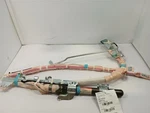 Srs Passenger/right Roof/curtain Airbag From 2005 Tacoma 11345363. Fixed Price $332.77.