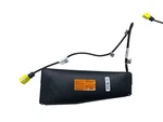 2022 2023 2024 Kia EV6 Oem Front Right Passenger Seat Srs Air Bag W/ Vented. Fixed Price $195.50.