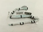 Driver Left Side Roof Curtain Nissan Leaf 2011 2012. Fixed Price $199.88.