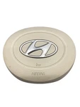 2023-2025 Hyundai Palisade Front Left Driver Steering Wheel Air Bag Srs Beige. Fixed Price $759.45.