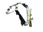 2020-2024 Kia Telluride Oem Left Driver Roof Curtain Srs Airbag 80410-S9000. Fixed Price $249.98.