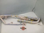 Srs Driver/left Roof/curtain Airbag From 2008 Tundra 10542501. Fixed Price $262.77.