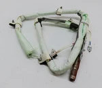 2018-2022 Bmw X2 (F39) Front Left Driver Side Roof Curtain Srs. Fixed Price $280.24.