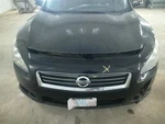 Passenger Right Air Bag Roof Fits 14 Maxima 104694471. Fixed Price $168.90.