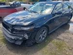 Accord 2023 Air Bag 3099235. Fixed Price $440.00.