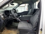 Passenger Right Air Bag Dash Fits 24-25 Ford F150 Pickup 4988146. Fixed Price $287.50.