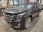 Used Left Curtain Air Bag Fits: 2015 Cadillac Escalade Driver Sunroof Drain. Fixed Price $207.50.