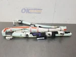 2019 Nissan Rogue Right Passenger Roof Curtain Srs. Fixed Price $175.00.