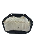 Passenger Right Air Bag Dash Fits 13-17 Regal 594972. Fixed Price $149.00.