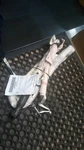 2013 Jeep Grand Cherokee Left Curtain Air Bag Red 172K Miles Oem Replacement. Fixed Price $60.75.