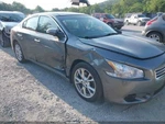Passenger Right Air Bag Roof Fits 14 Maxima 2226623. Fixed Price $215.00.