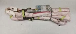'12-'16 Dodge Caravan Right Passenger Rear Roof Air Bag Oem. Fixed Price $121.50.