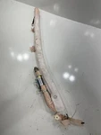 Fits 14-16 Dodge Ram Promaster 1500 Lh Driver Roof Curtain Air Bag Oem Receipt. Fixed Price $165.75.