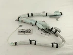 Passenger Right Side Roof Nissan Leaf 2011 2012. Fixed Price $199.88.